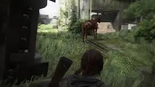 The Last Of Us Part 2