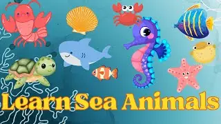 Sea Animals for Kids: A Fascinating Underwater Adventure 🌊🐠🐢 Kids Learning