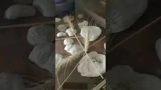 ...con la misma energía de todos los días...