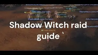 Shadow Witch raid guide mage perspective
