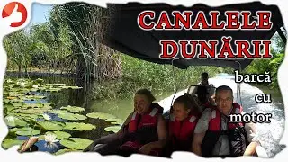 Cu barca pe Dunăre către Plaja Perișor