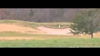 Amateur golfer stabbed while playing