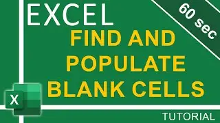 Find and Populate Excel Blank Cells  | Excel Tutorial for Everyone