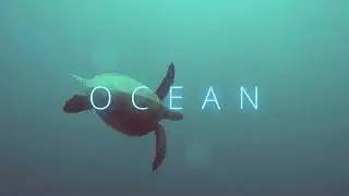 Ocean (Documentary) Music by Roger Pastó Cortina
