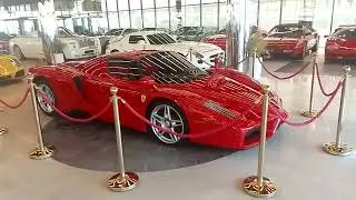ENZO FERRARI NEW
