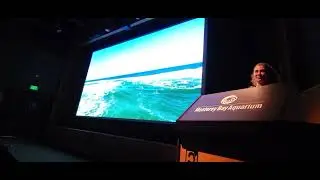Best part of Aquarium dont miss the informative 15min programs Living Light: Bioluminescence