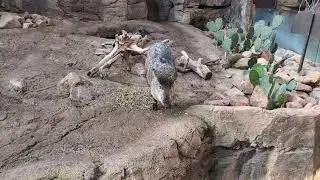 You too can go to the zoo!!