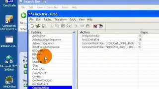 Microsoft Installer: Custom Action sequence of Microsoft Installer