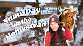 Snow Day on the Homestead! ❄️🐮👩🏻‍🌾 | Homestead VLOG