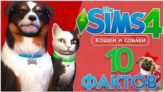The Sims 4 Кошки и собаки - 10 Фактов!