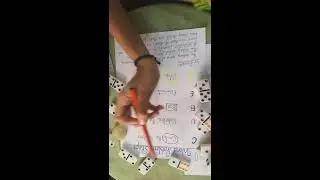 5 Steps To Solve Word Problems