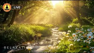 🔴 Relaxing Music 24/7, Healing Music, Meditation Music, Spa Music, Sleep, Zen, Study Music, River