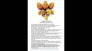 Обновлённое описание сортов. Сорта, размножаемые под заказ: Удлинённый Ван Лода. Январь 2023