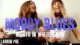 The Moody Blues 