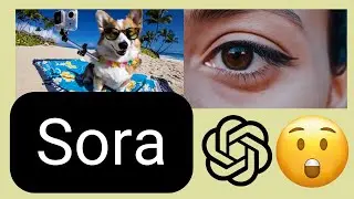 HYPE!!1! Sora (16.02.2024) erstellt Video aus Text! AI Video Generierung