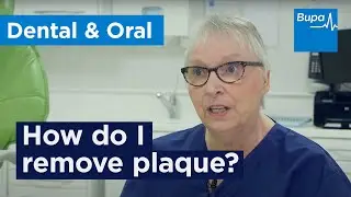 How do I remove plaque? | Bupa Health