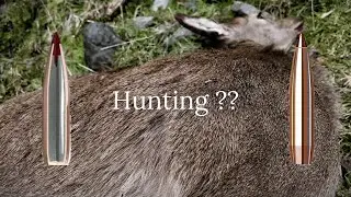 Can the Hornady ELD-Match bullets be used for Hunting??