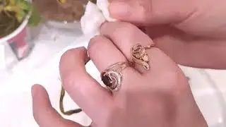 Реанимация орхидей