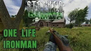 ONE LIFE INVICTUS - GAMMA IRONMAN