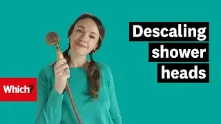 The best way to descale a shower head - Which?
