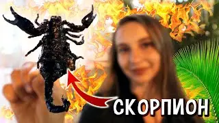 I eat SCORPIO, insects, Thailand night food market