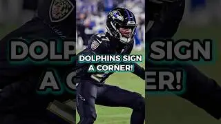 Miami Dolphins CLAIM A Cornerback Off NFL Waivers! Dolphins News 