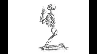 Hard Mike Dimes type beat "BONES"