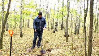 The Minelab X-Terra Pro metal detector lost depth after flashing it.