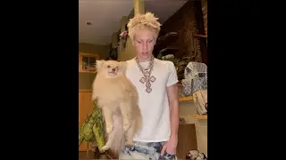 (free) lazer dim 700 x lilkris3000 x brenanjones type beat  