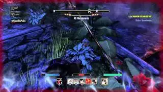 The Elder Scrolls Online - DEFEATING MANNIMARCO