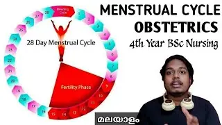 Menstrual Cycle | Obstetrics | OBG | 4th Year BSc Nursing | Malayalam | Slide Presentation