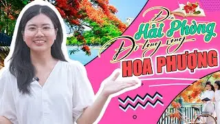Đến Hải Phòng, đi lòng vòng: Hoa phượng | Hải Phòng có gì chơi
