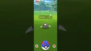 Can one great ball catch this drilbur? #pokemon #pokemongo