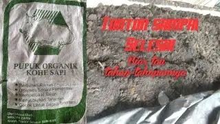 HOW TO MAKE COMPOST FERTILIZER FROM COW dung