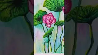 Акварельный Рисунок Лотосы Скетч Обзор Арт работы/Watercolor Drawing Lotuses Sketch Review Art Work