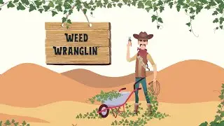 Weed Wranglin'