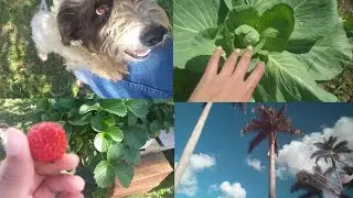Fim de semana + visita na casa da vovó 💗
