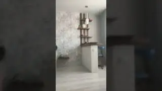 24 июля 2024 г.