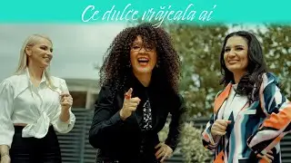 Andrada Barsauan ❌ Lena Miclaus ❌ Minodora -  Ce dulce vrajeala ai (Official video)