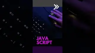 3 Coding Language for 2024 | Best Programming Language | 