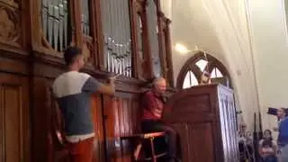 Орган в Кафедральном соборе Петра и Павла в Москве