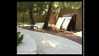 Прыгающий козел / Parkour goat