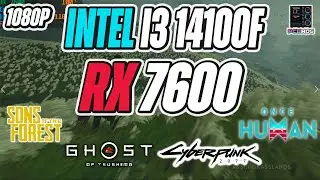 Intel i3 14100F + RX 7600 Benchmarks 2024 - 4 Games Tested
