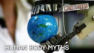 Testing The Limits of The Human Body! | MythBusters