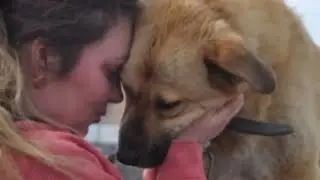 The girl came to the shelter and chose the ugliest dog, which everyone refused!