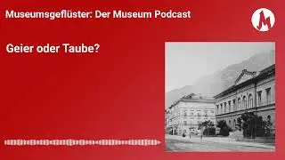 Geier oder Taube? | Museumsgeflüster – der Museum Podcast