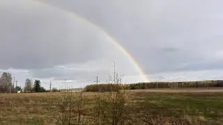Удивительное зрелище.