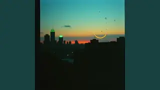 Света мой свет