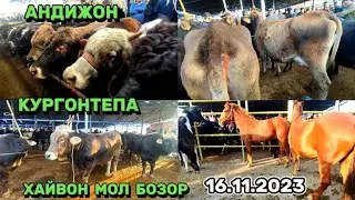 АНДИЖОН КУРГОНТЕПА ХАЙВОН МОЛ БОЗОР НАРХЛАРИ 26.11.2023