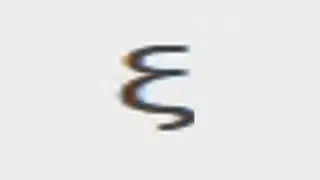 ξ